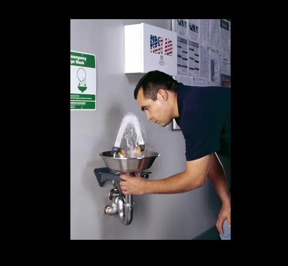 Bồn Rửa Mắt Khẩn Cấp Treo Tường Guardian G1814 - ảnh 3